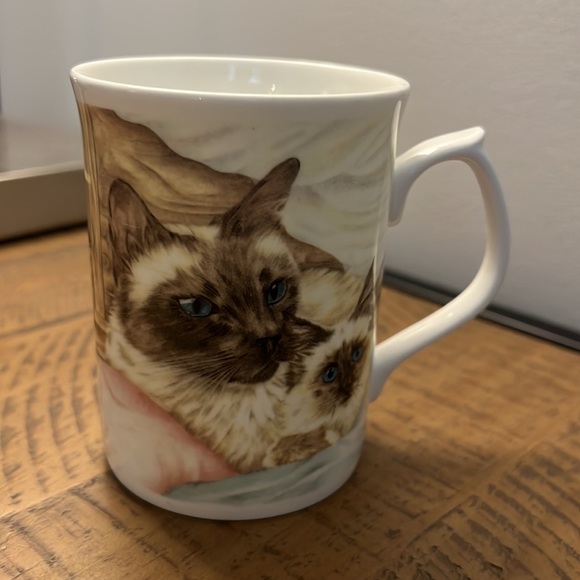 🌟Duchess bone china cat and kitten coffee tea cup - Picture 3 of 4